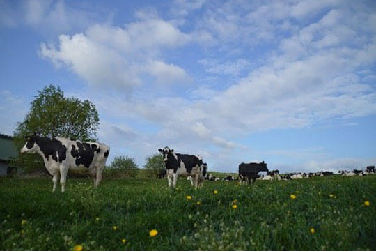 Heike Winkler Auszeit_Austattungsmerkmale