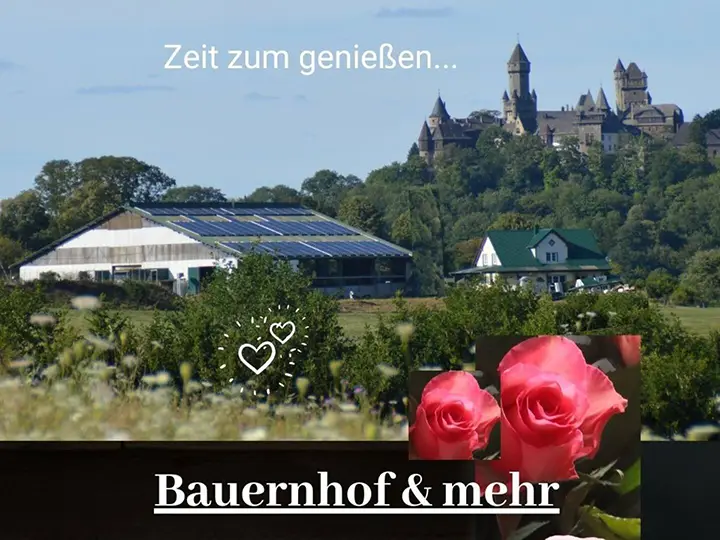 Heike Winkler_Auszeit_Weitere Fotos 19